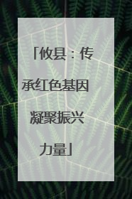 攸县：传承红色基因 凝聚振兴力量