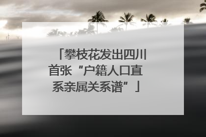 攀枝花发出四川首张“户籍人口直系亲属关系谱”