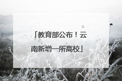 教育部公布！云南新增一所高校