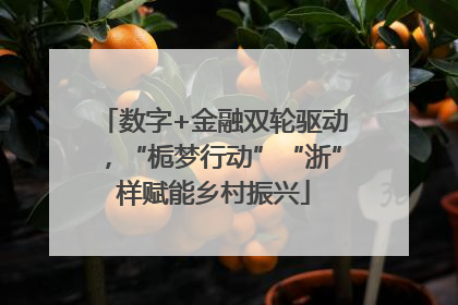 数字+金融双轮驱动，“栀梦行动”“浙”样赋能乡村振兴