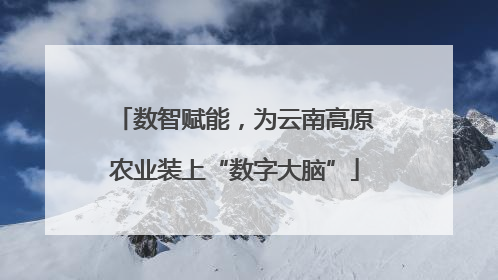 数智赋能，为云南高原农业装上“数字大脑”