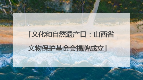 文化和自然遗产日：山西省文物保护基金会揭牌成立