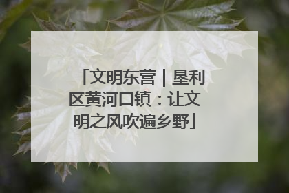 文明东营｜垦利区黄河口镇：让文明之风吹遍乡野