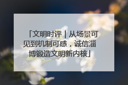 文明时评｜从场景可见到机制可感，诚信淄博锻造文明新内核