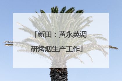 新田：黄永英调研烤烟生产工作
