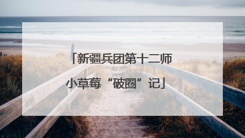 新疆兵团第十二师小草莓“破圈”记