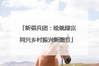 新疆兵团：绘就绿富同兴乡村振兴新图景