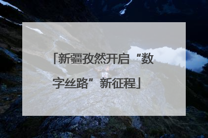新疆孜然开启“数字丝路”新征程