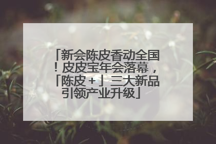 新会陈皮香动全国！皮皮宝年会落幕，「陈皮＋」三大新品引领产业升级