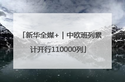新华全媒+｜中欧班列累计开行110000列