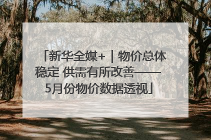 新华全媒+｜物价总体稳定 供需有所改善——5月份物价数据透视