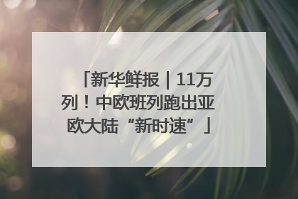 新华鲜报｜11万列！中欧班列跑出亚欧大陆“新时速”