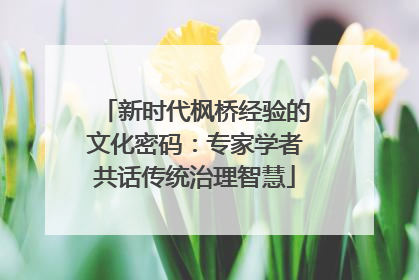 新时代枫桥经验的文化密码：专家学者共话传统治理智慧