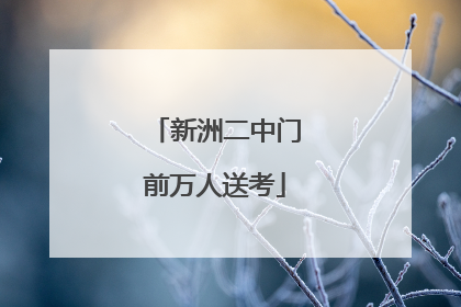新洲二中门前万人送考