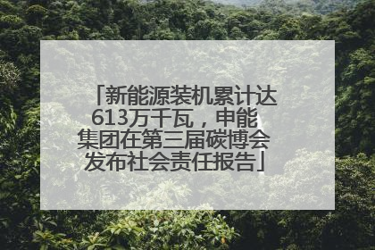 新能源装机累计达613万千瓦，申能集团在第三届碳博会发布社会责任报告