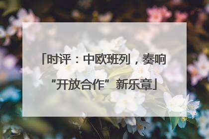 时评：中欧班列，奏响“开放合作”新乐章
