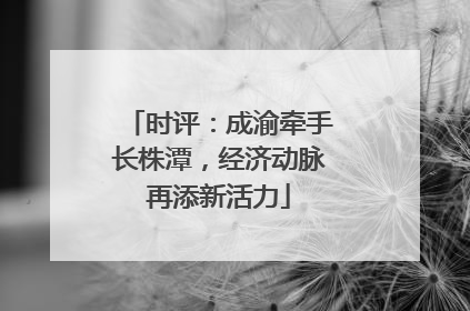 时评：成渝牵手长株潭，经济动脉再添新活力