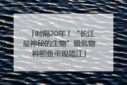 时隔20年！“长江最神秘的生物”极危物种鳤鱼重现赣江
