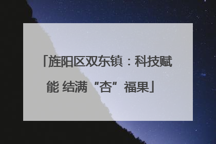 旌阳区双东镇：科技赋能 结满“杏”福果