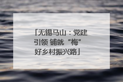 无锡马山：党建引领 铺就“梅”好乡村振兴路