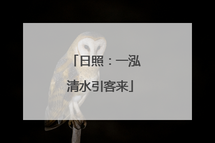日照：一泓清水引客来