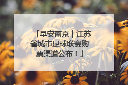 早安南京｜江苏省城市足球联赛购票渠道公布！