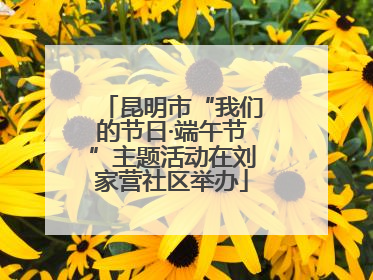 昆明市“我们的节日·端午节”主题活动在刘家营社区举办