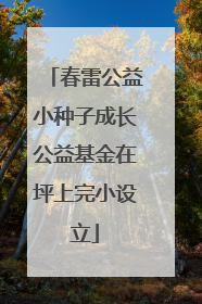 春雷公益小种子成长公益基金在坪上完小设立