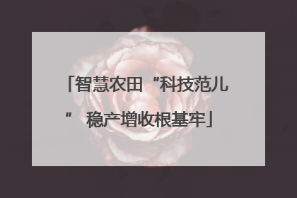 智慧农田“科技范儿” 稳产增收根基牢