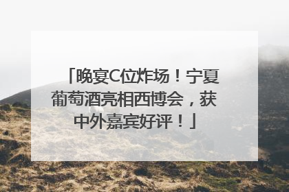晚宴C位炸场！宁夏葡萄酒亮相西博会，获中外嘉宾好评！