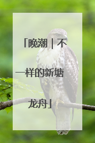 晚潮｜不一样的新塘龙舟