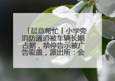 晨意帮忙丨小学旁消防通道被车辆长期占据，禁停告示被广告覆盖，派出所：会尽快处理