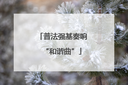普法强基奏响“和谐曲”