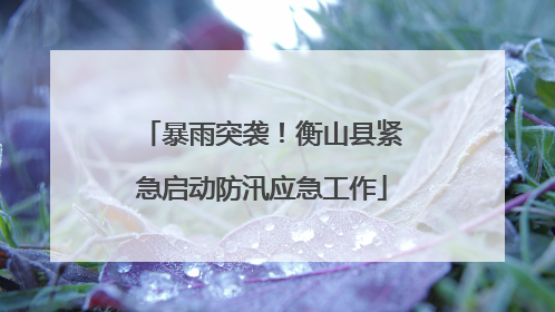 暴雨突袭！衡山县紧急启动防汛应急工作