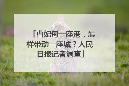 曹妃甸一座港，怎样带动一座城？人民日报记者调查