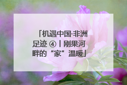 机遇中国·非洲足迹 ④丨刚果河畔的“家”温暖