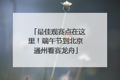最佳观赛点在这里！端午节到北京通州看赛龙舟