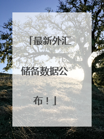 最新外汇储备数据公布！