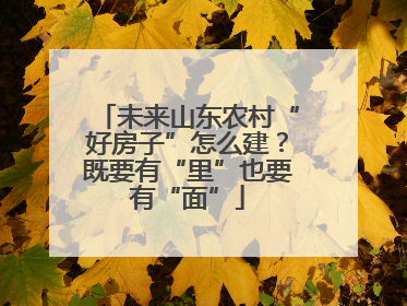 未来山东农村“好房子”怎么建？既要有“里”也要有“面”