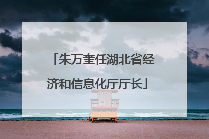 朱万奎任湖北省经济和信息化厅厅长