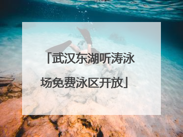 武汉东湖听涛泳场免费泳区开放