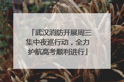 武汉消防开展周三集中夜巡行动，全力护航高考顺利进行
