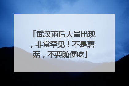 武汉雨后大量出现，非常罕见！不是蘑菇，不要随便吃