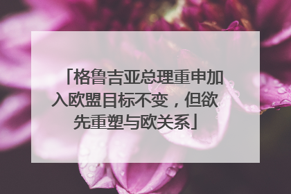 格鲁吉亚总理重申加入欧盟目标不变，但欲先重塑与欧关系