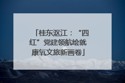 桂东沤江：“四红”党建领航绘就康氧文旅新画卷