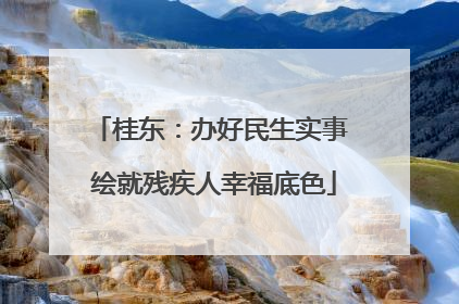 桂东：办好民生实事 绘就残疾人幸福底色