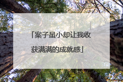 案子虽小却让我收获满满的成就感