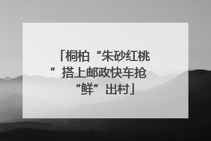 桐柏“朱砂红桃”搭上邮政快车抢“鲜”出村