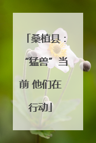 桑植县：“猛兽”当前 他们在行动