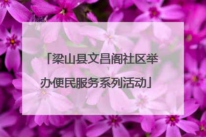 梁山县文昌阁社区举办便民服务系列活动